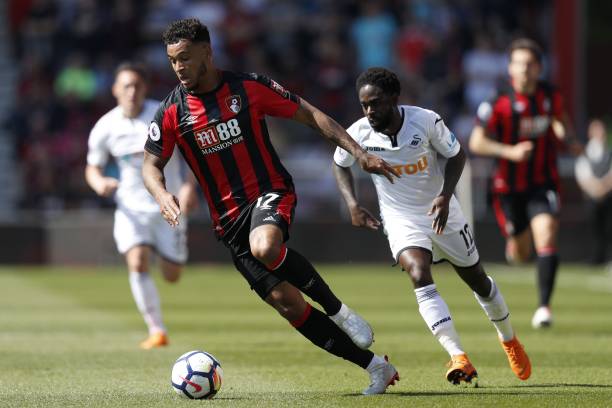 鲜的血液 鲜的血液