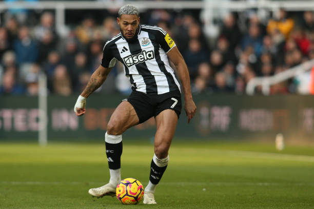 调查表明 调查表明